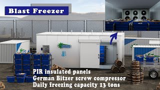 CRYO blast freezer design [upl. by Nosral]