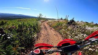 Riding Rogers Camp Road Trail 1 Tillamook State Forest [upl. by Nerrot]