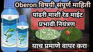 Oberon insecticideपांढरी माशी नियंत्रण Bayer insecticide oberon bayerAapliShetiAaplshivarD [upl. by Ioyal474]