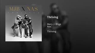 Mary J Blige Feat Nas Thriving [upl. by Nairot]