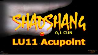 LU11  Shaoshang Acupoint  Lung Meridian  Acupressure VIKUDO [upl. by Karb83]