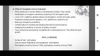 SJCTNCMrsDDHARMADEVI 20EZ513A BIOFERTILIZER TECHNOLOGYUNIT 1RHIZOSPHERE [upl. by Foushee123]