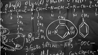 biochemistry  amino acid  lec1 part 2 [upl. by Mazonson]