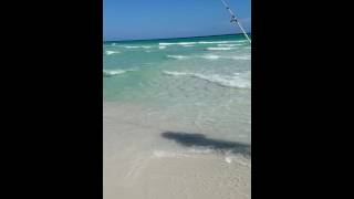 Surf fishing in Grayton Beach Pretty Redfish [upl. by Sisenej910]