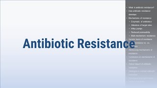 Antibiotic Resistance [upl. by Laenahtan695]