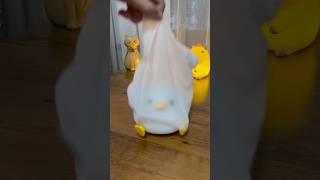 Funny duck Duck is running Glowing duck Duck run [upl. by Ruby]