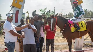 Country Rock wins Race 3 3 YO Open on February 25th 2024 Jockey R Appadu [upl. by Cahra]