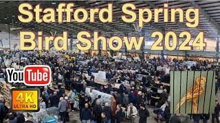 Stafford Spring Bird Show 2024 Vlog What Did I Buy Lets Have A Look Around [upl. by Bronnie]