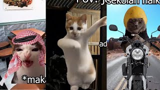 Pov  Meme Kucing 10 Menit Season 2 episode 8  14 [upl. by Bandeen]