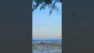 whitesands Beach travel Vacation philippines fyp viral [upl. by Marteena834]