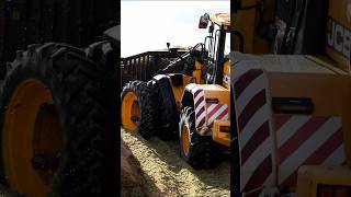 Silo Action jcb wheelloader radlader farming agriculture landwirtschaft lpgostharz fyag [upl. by Amsirac706]