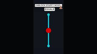 UNCLOG STUFFY NOSE amp DRAIN SINUSES IN 20 SECONDS [upl. by Essila]