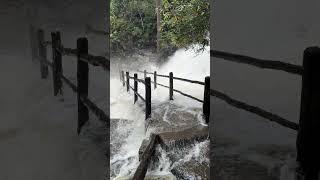 Laurel Falls Great Smoky Mountains Sept 26 2024 Video by Dana Soehn Friends of the Smokies [upl. by Madel916]