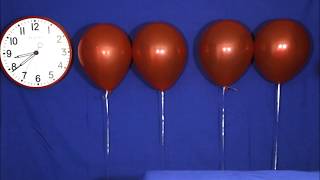 How To Make Helium Balloons Float The Longest [upl. by Uy544]