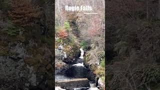 Rogie FallsContin StrathpefferScotland beautiful youtubevideo youtube nature waterfall [upl. by Cogan]