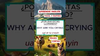 FRASES CORTAS EN INGLES facil [upl. by Amer]