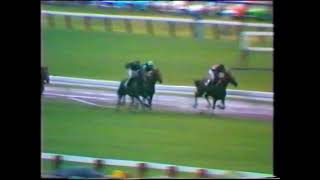 Van Der Hum  Melbourne Cup 3200m 1976  Ridden by Robert Skelton [upl. by Sloatman]