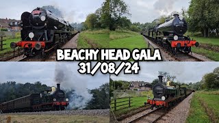 Bluebell Railway  Beachy Head Gala  310824 [upl. by Lorien]