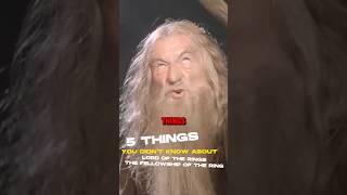 Did you know these silly Lord of the Rings movie facts [upl. by Nylodam689]