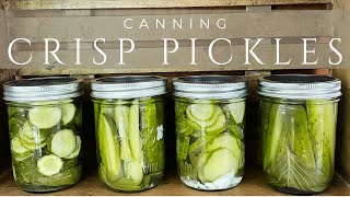 Canning CRISP Dill Pickles  Water Bath Canning [upl. by Eob571]