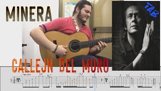 Paco de LuciaCallejn del Muro Minera guitar tab tuturial LucianoGhosn [upl. by Neliac]