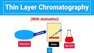 Thin Layer Chromatography  Animation [upl. by Pennebaker]