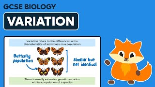 Variation  GCSE Biology [upl. by Adila]