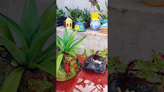 unique cemented pot making🪴 gardenplantsdiypots viralvideo youtubeshorts [upl. by Aduh]