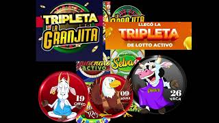 pronosticos del 6 de octubre del 2024 lotto activo granjita guacharo y la tripleta ganadora [upl. by Dodd]