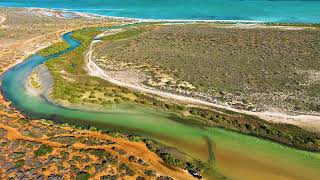 Shark Bay Western Australia sharkbay [upl. by Iviv]