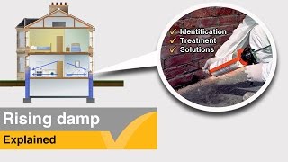 Rising Damp Solutions  A Rising Damp Treatment Guide [upl. by Clifford]