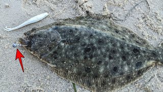 Why Use Single Jig amp Gulp for Fluke Deadliest Technique for BIG Flounder Explained [upl. by Ylecic165]