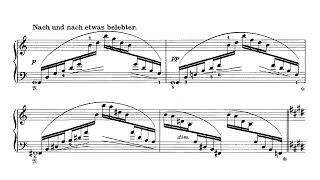 Scharwenka  3 Klavierstücke Op 86 AudioSheet Tanyel [upl. by Helms]