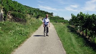 Welterbesteig Wachau Etappe von Dürnstein nach Krems [upl. by Atter924]