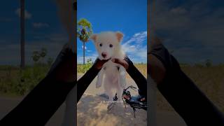 Kuttyttf  😻 evlo cute ah iruku  ttf kuttyttf superbike motovlog trending pyrosgirl vlog [upl. by Rehsu]