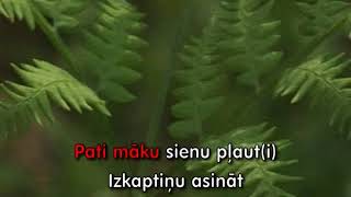 Div pļaviņas es nopļāvu KARAOKE [upl. by Edme]