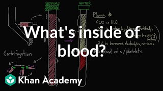 Whats inside of blood  Lab values and concentrations  Health amp Medicine  Khan Academy [upl. by Salvucci998]