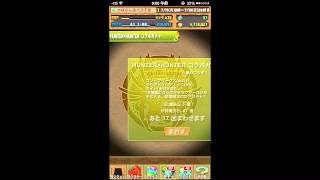 パズドラ ハンターハンターコラボガチャ回したら違うの出てきた [upl. by Ialokin]