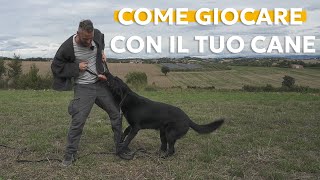 COME SI GIOCA CORRETTAMENTE CON IL CANE [upl. by Aicilehp]