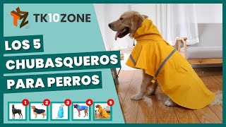 Los 5 chubasqueros para perros [upl. by Yenaffit]