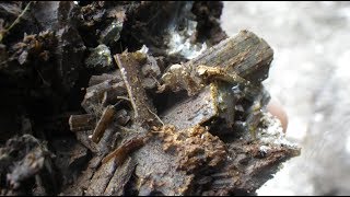 Beautiful Actinolite Crystal Pockets opened on Dyno Road Bancroft Ontario [upl. by Issie]