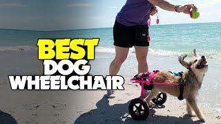 TOP 5 Best Dog Wheelchair 2023  Our Top Picks [upl. by Dody224]