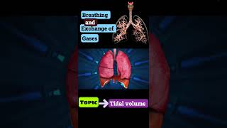 Part3 Tidal volume  Breathing and Exchange of gases neet Cbse [upl. by Emmerie]