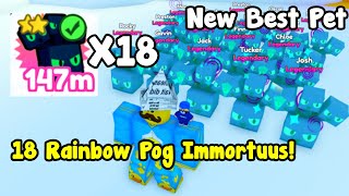 Got Full Team Of Rainbow Pog Immortuus  Pet Simulator X Roblox [upl. by Yragerg]