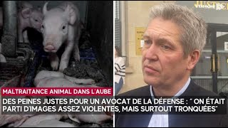 Maltraitance animale  les gérants de la porcherie de Montsuzain s’en sortent avec des peines [upl. by Kellby794]