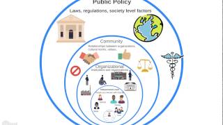 Intro to the Ecological Model [upl. by Asiruam]