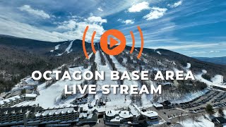 Octagon Base Area  Live at Loon [upl. by Ellekim242]