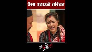 बेमानलाई पैसा उठाउनै तनावbhadragol nepalicomedy comedyserial lattestepisode shorts mediahub [upl. by Bruis]