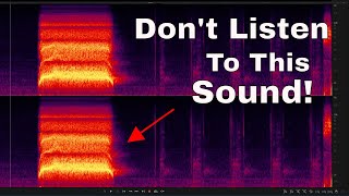 The Scariest Sound In The World [upl. by Mallissa]