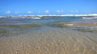 Cattlewash Beach Barbados [upl. by Idonah]